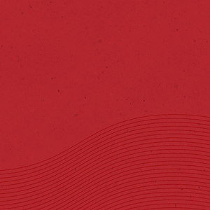 SUELDO PARA TODA LA VIDA